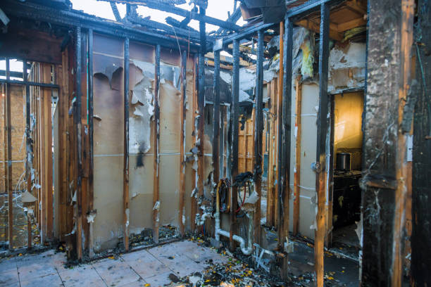 Professional Smoke Damage Removal technician working in Denton, MD